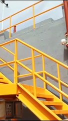 ¿Alerta por peces muertos en la laguna de Cajititlán?