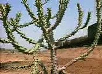 Sholay 1975 Movie Part 1