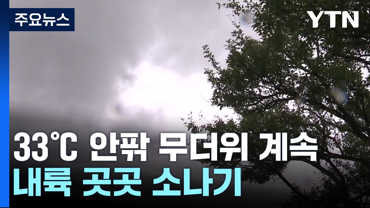 [날씨] 내일도 찜통더위 속 곳곳 소나기...동해안 너울 유의 / YTN