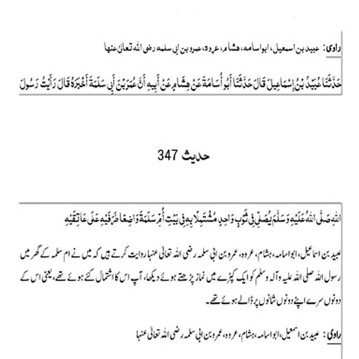 Sahih Bukhari Hadith (Hadees Sahih Bukhari 347) #bayan #hadees #hadith #islamic