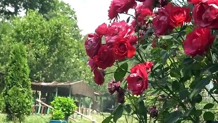 Uludağ'ın eteğindeki çiftlikte alabalık yetiştiriliyor