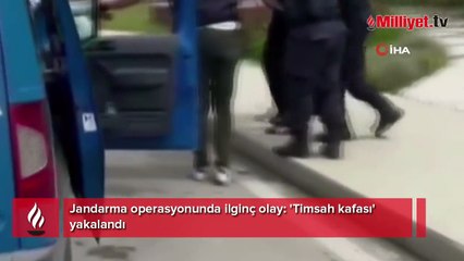 İstanbul'da akılalmaz manzara! Çantadan timsah çıktı