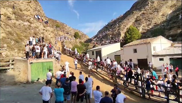 5º Encierro de El Pilón de Falces
