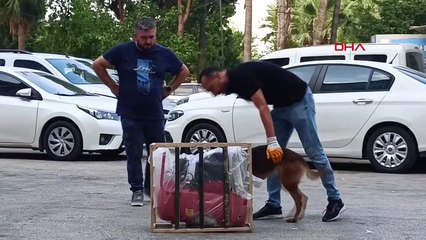 Mersin'de Kargoda Uyuşturucu Operasyonu: 2 Kilo Esrar Ele Geçirildi