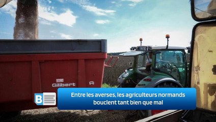 Entre les averses, les agriculteurs normands bouclent tant bien que mal