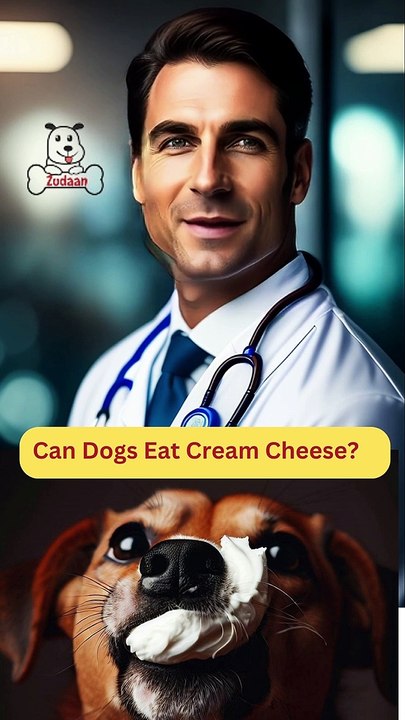 Can dogs eat cream clearance cheese