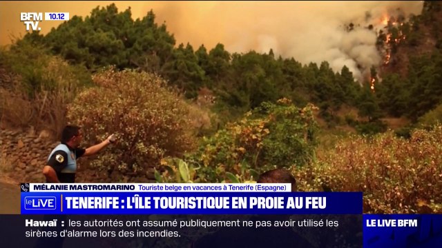 J'ai vu l'horreur , témoigne cette touriste belge en vacances sur l'île de Tenerife, en proie aux flammes