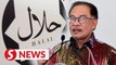 M’sia needs to capitalise on its expertise in halal industry, says Anwar