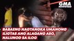 Babaeng nagtangka umanong iligtas ang alagang aso, nalunod sa ilog | GMA News Feed