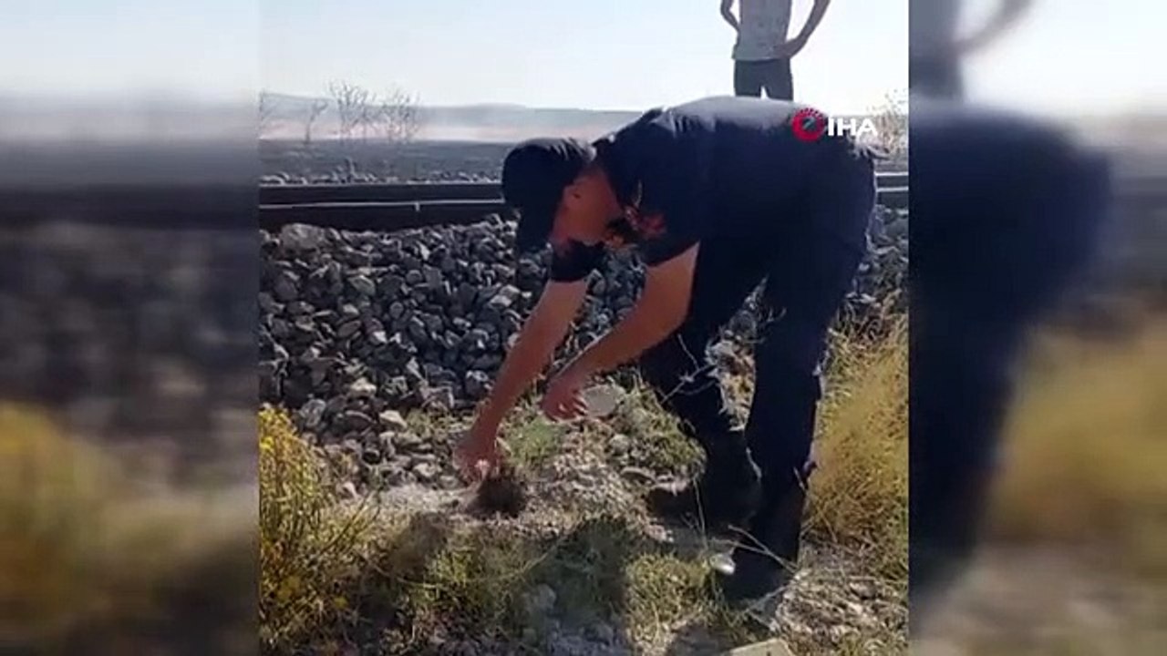 Jandarmanın hayvan sevgisi görenlerin içini ısıttı