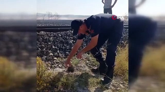 Jandarmanın hayvan sevgisi görenlerin içini ısıttı