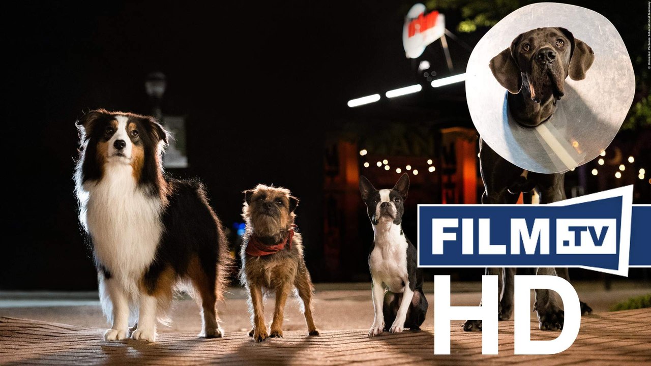 Doggy style: exklusiver und nicht jugendfreier clip aus der komödie