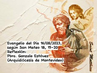 Evangelio del Día 16/08/2023, según San Mateo 18, 15-20 - Pbro. Gonzalo Estévez