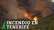 El incendio en Tenerife continúa expandiéndose: 1.800 hectáreas y 6 municipios afectados por el fuego