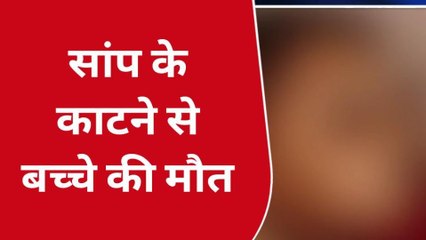 मथुरा: तीन वर्षीय मासूम को सांप ने काटा, अस्पताल ले गए परिजन फिर जो हुआ देखिए