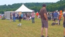 'This is so insane!' - Super Robot Dog amazes people at Flite Fest 2023