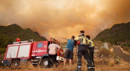El incendio de Tenerife avanza sin control tras arrasar 2.600 hectáreas