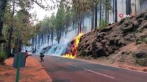 İspanya'nın turistik Tenerife Adası'ndaki orman yangını kontrolden çıktı!