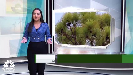 الوصول للحياد الكربوني.. هل هو هدف بعيد المنال؟