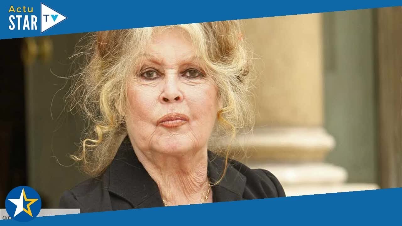 “Un fiasco total”  pourquoi Brigitte Bardot en veut terriblement à Emmanuel Macron