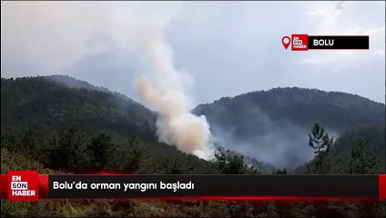 Bolu'da orman yangını başladı