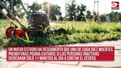Cortar el césped puede evitar una muerte prematura