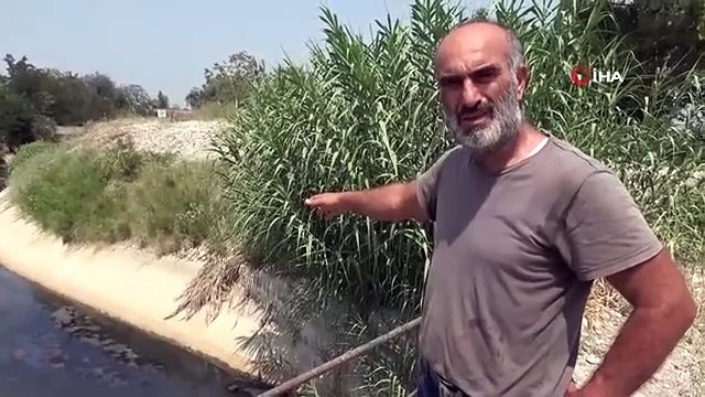 Les fabricants qui nourrissent leurs produits avec de l'eau sale sont devenus mal à l'aise