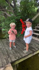 Teamwork makes the dream work