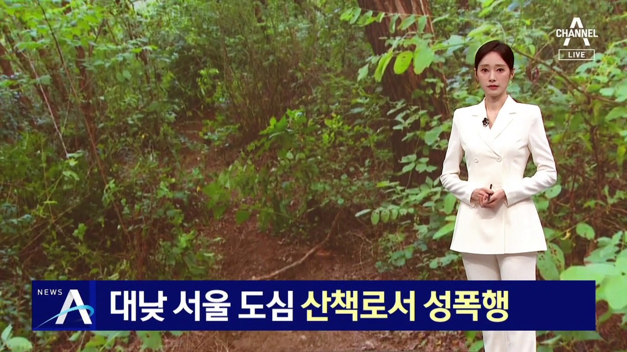 대낮 서울 도심 산책로서 성폭행…피의자 현장 체포