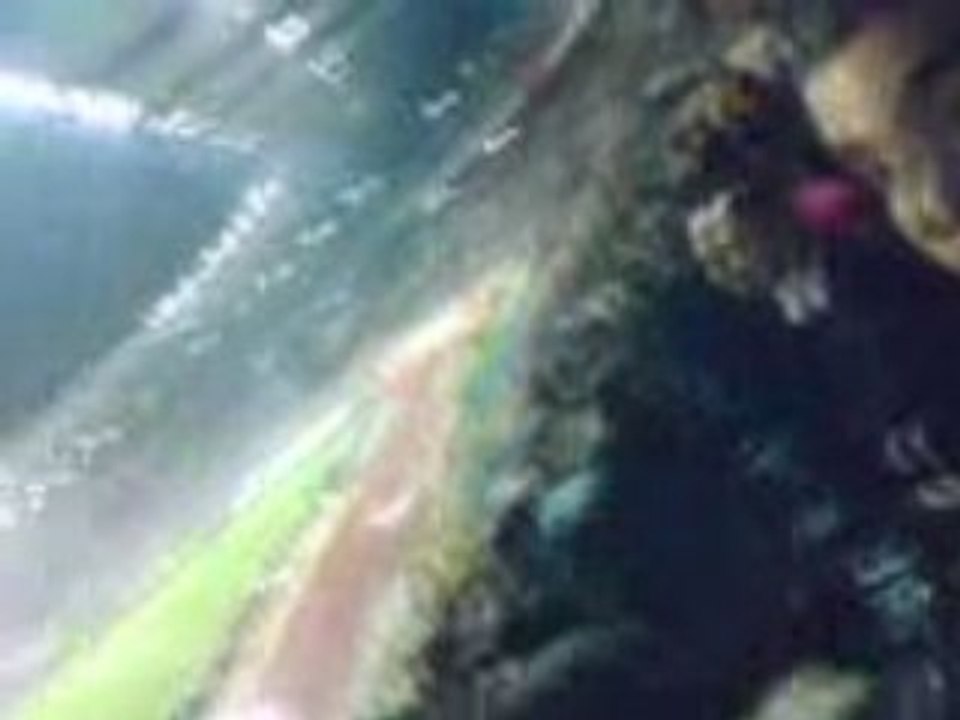 Belgique Vs Maroc  Score final 1 -4