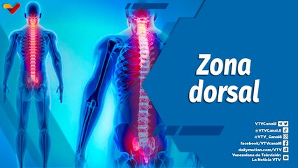 Actitud Saludable | Entérate sobre las funciones y estructura de la columna vertebral