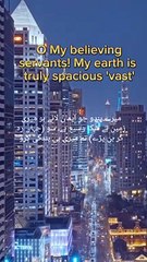 Quran Visuals with English Translation