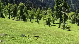 Azad Kashmir #Nature status video #beautiful view #beauty of Pakistan#Whats app  (1)