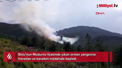 Bolu'da orman yangını! Ekipler sevk edildi