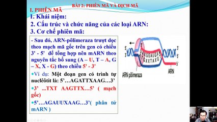 Sinh 12 - Bài 2 Phiên mã và dịch mã