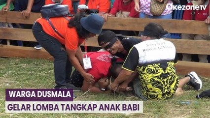 Meriahkan HUT RI, Warga Dusmala Gelar Lomba Tangkap Anak Babi dengan Mata Tertutup
