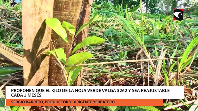 Productores yerbateros de Misiones y Corrientes se reunieron para conversar sobre el precio de la yerba mate y firmaron un acta en defensa del INYM: “No podemos abolir el INYM, es nuestra casa”