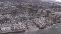 하와이 산불 사망자 110명으로 늘어...화재 원인 다각도로 조사 / YTN