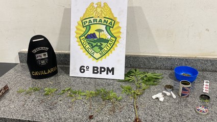 Rapaz é preso com 13 pés de maconha em Cascavel