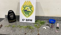 Rapaz é preso com 13 pés de maconha em Cascavel