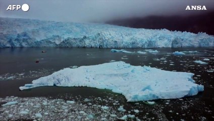 La Terra cambia, nuovi habitat rimpiazzano i ghiacciai