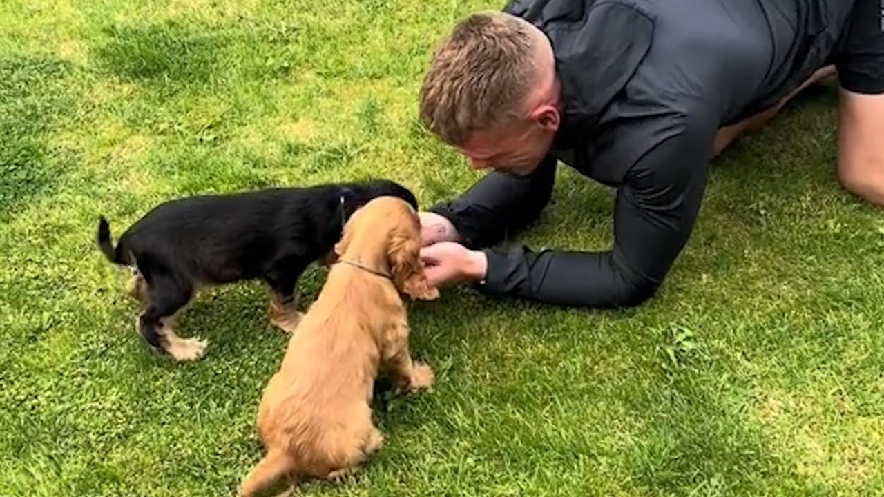 Girlfriend Surprises Boyfriend With ADORABLE Co...