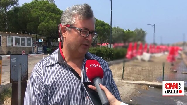 Foça Sahili'nde denizanası istilası