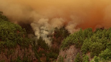 스페인 카나리아제도 테네리페 섬에 대형 산불..."통제 불능" / YTN