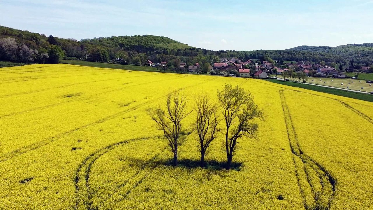 Dji Mini 2 . Geometrie Variable .