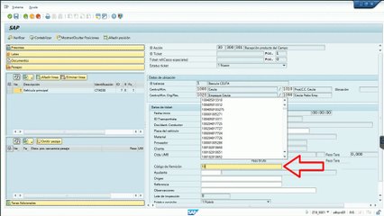 PP-Bascula Camionera anterior