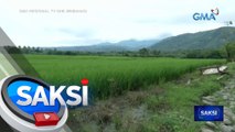 Sanggol sa Digos, Davao Del Sur, nasawi dahil hinihinalang napasukan ng alupihan sa tainga | Saksi