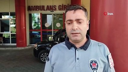 Anne Kedi, Yavrusunu Hastaneye Getirdi