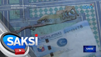 P5,000 na ipon, pinaniniwalaang kinain ng anay | Saksi