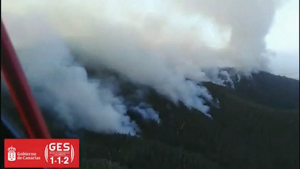 Feurwehr bekommt Waldbrand auf Teneriffa nicht in den Griff